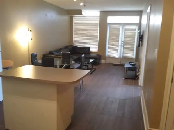 1 BEDROOM   DEN FURNISHED GROUND FLOOR CANDO SHORT/L RENT AT SQ1