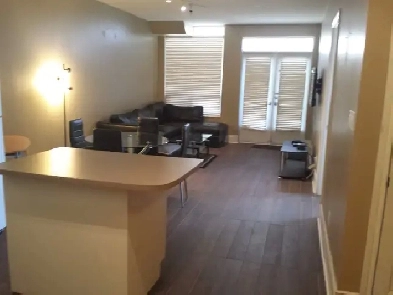 1 BEDROOM   DEN FURNISHED GROUND FLOOR CANDO SHORT/L RENT AT SQ1