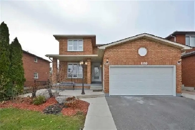 Basement For Rent in Prime Location !!