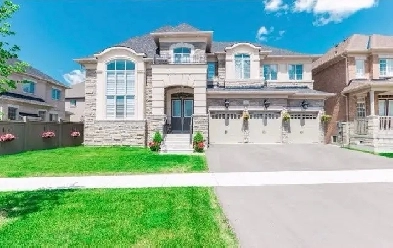 FOR RENT | 3 BED 2 BATH MAYFIELD & McVEAN