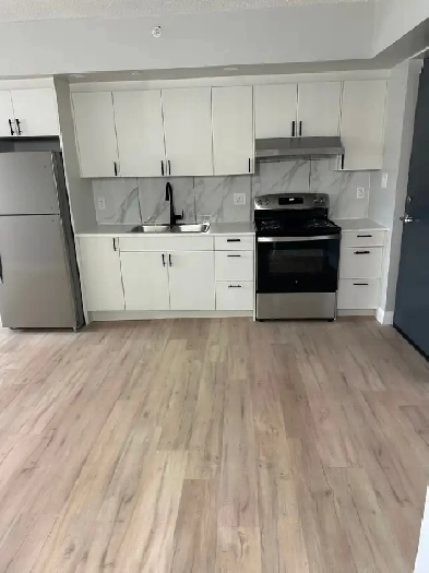 Brand New One Bedroom Available October & November Minnow lake