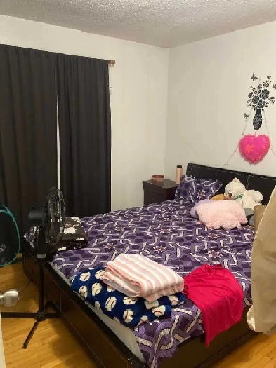 New Basement Master Bedroom with Private Washroom Sep 1