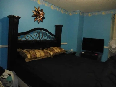 A Spacious & Private room for rent