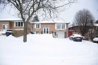 2-Bedroom Walkout Basement Apartment, All-Inclusive & Private