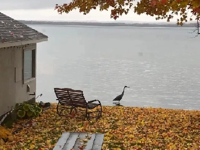 Furnished 3 bedroom on Lake Simcoe in Orillia. Weekly/Monthly