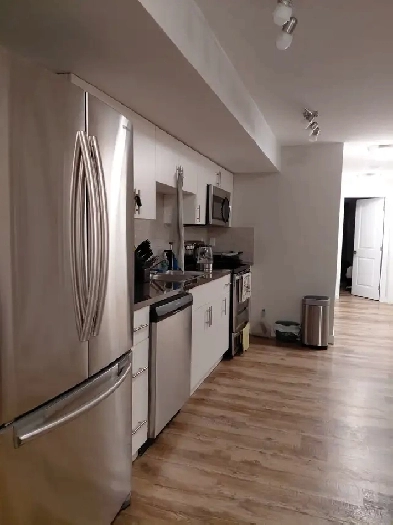 2 BEDROOM DUPLEX SUITE NEAR DOWNTOWN EDMONTON