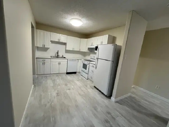 Available Immediately Renovated Timberlea Duplex for Rent