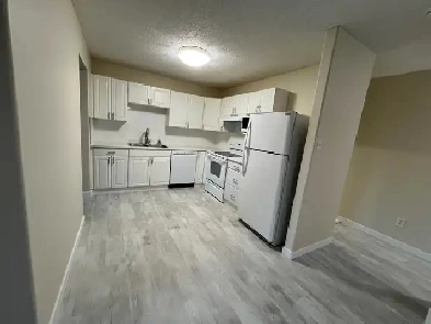 Available Immediately Renovated Timberlea Duplex for Rent
