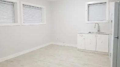 Like New 2-Bedroom Suite with full private laundry