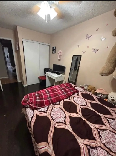 room for rent