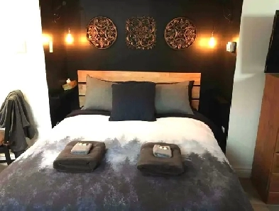 Well-finished, cozy, furnished bachelor, all utilities