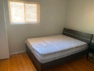 Room for rent (Yonge, Steeles very convenient location)