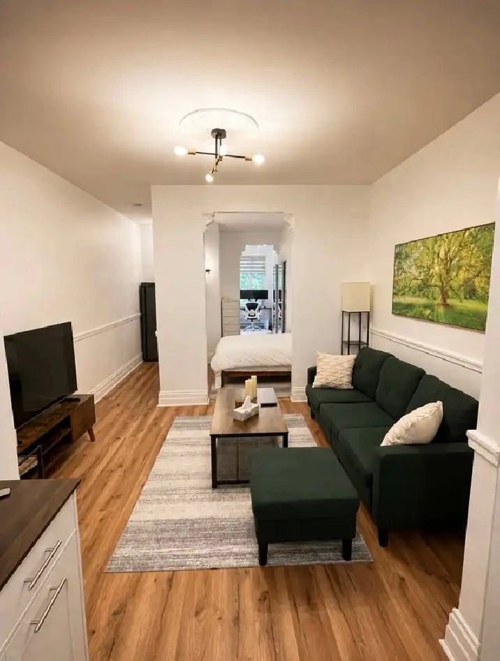 appartement meublé à louer Plateau Laurier furnished