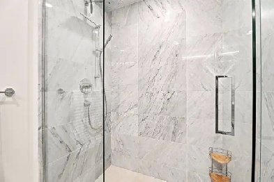 Luxury Executive Condo, Fully Furnished, All-inclusive