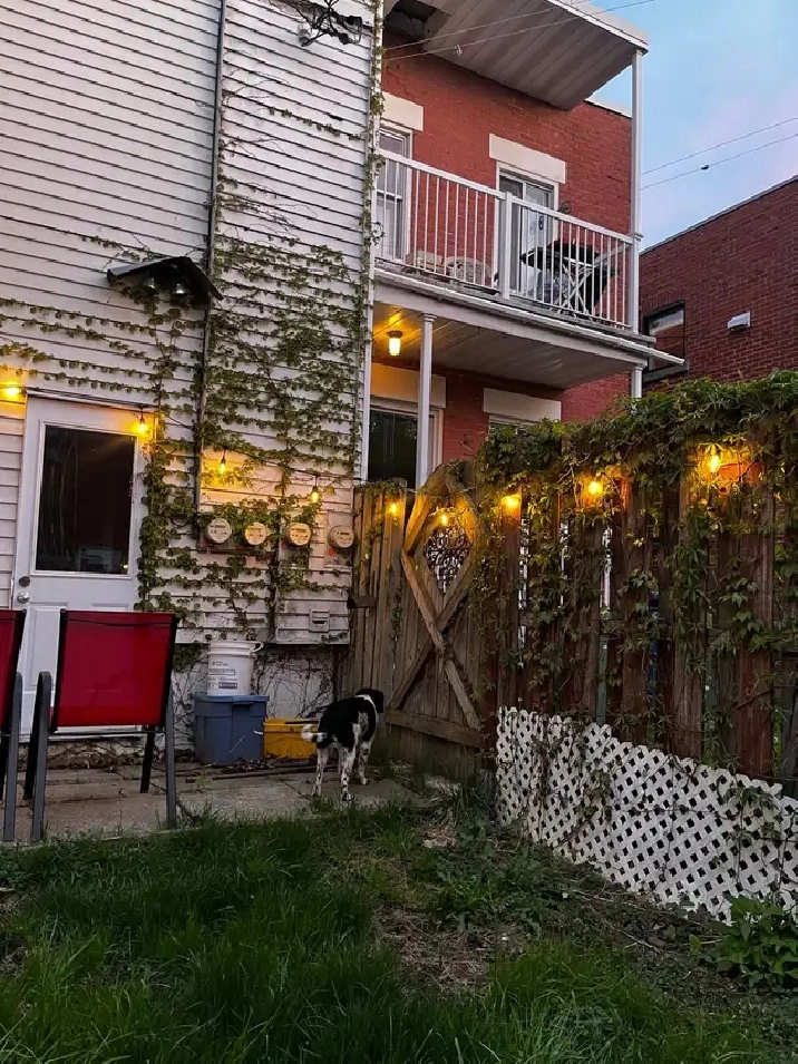 Lease Transfer Oct 1 - Verdun 6 1/2 - Dog-friendly backyard