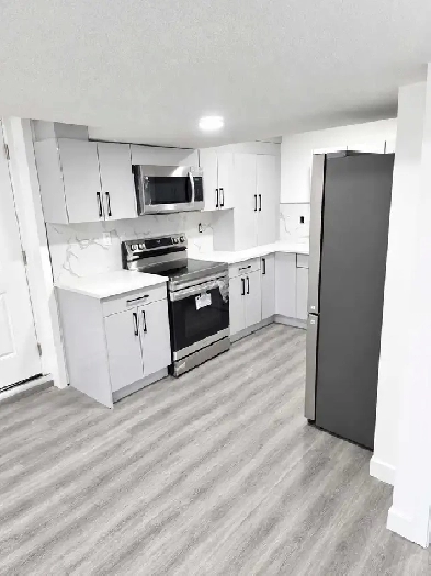 Beautiful Basment for rent available now