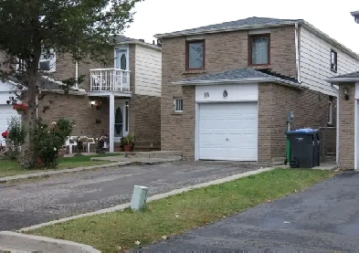 1 Bedroom Basement