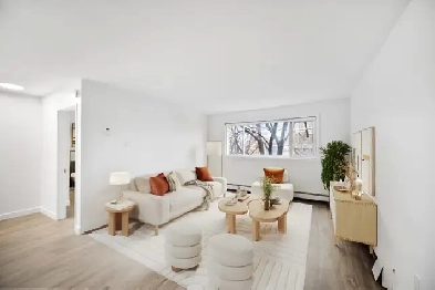 NEWLY Renovated 1 Bed 1 Bath apartment in Elmwood!