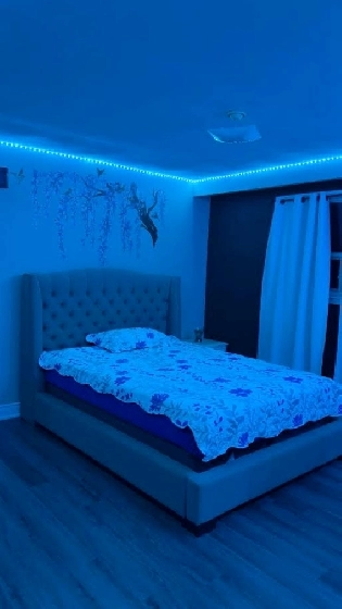 Master bedroom for rent, main floor, GIRLS ONLY in Malton