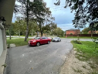 2 Bedroom Basement Apartments in Scarborough