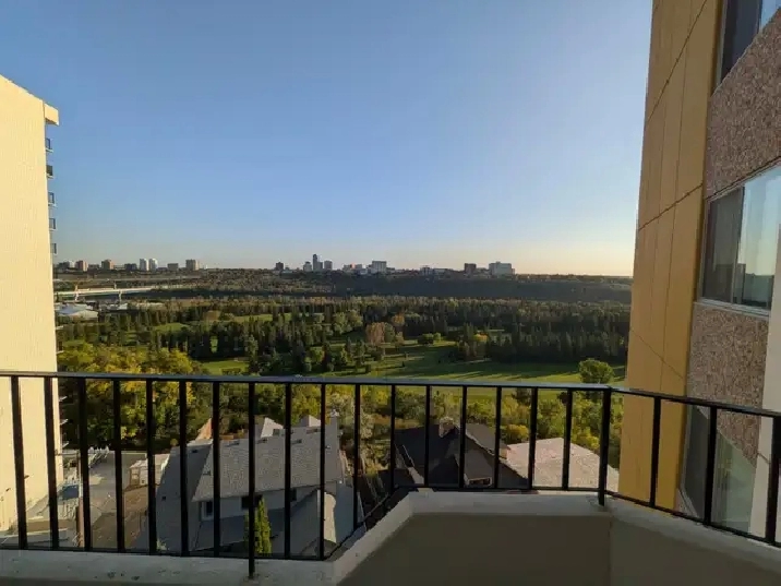 Downtown 1 Bed 1 Bath Apartment