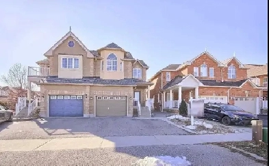 Beautiful 1 Br Basement in Oakridges,Richmond Hill for rent!