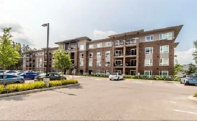 Stratford Apartment for Rent Sublet 2 Bedroom 1 Bath October 1