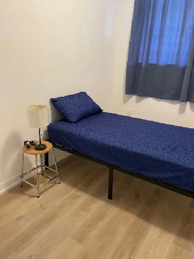 Room for rent in a shared house