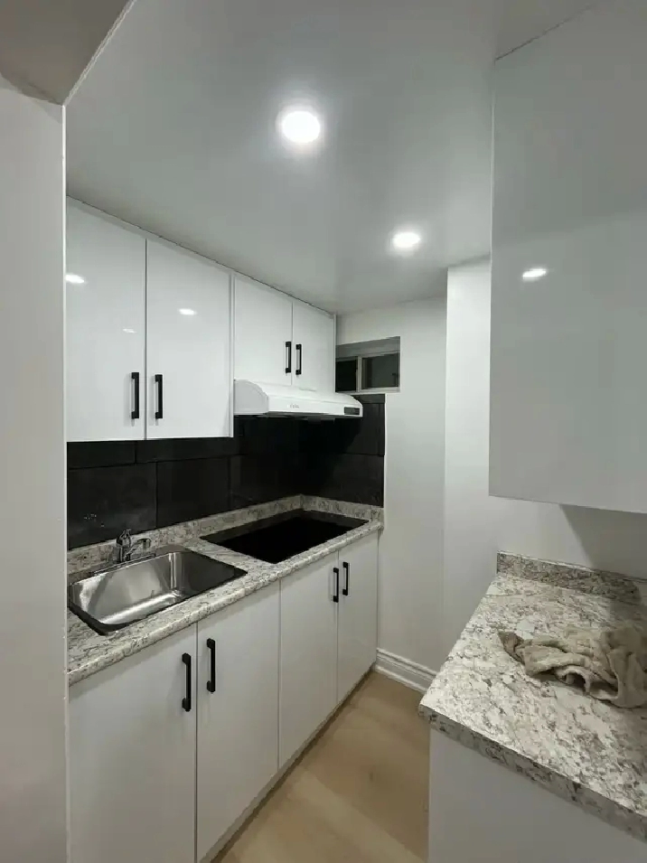 1 Bed 1 Bath Basement Apartment