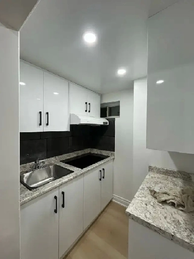 1 Bed 1 Bath Basement Apartment