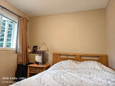 Furnished One-Bedroom in Condo_Southwest Edmonton