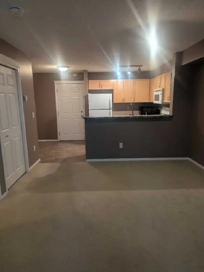 One Bedroom Condo Apartment