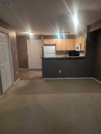 One Bedroom Condo Apartment