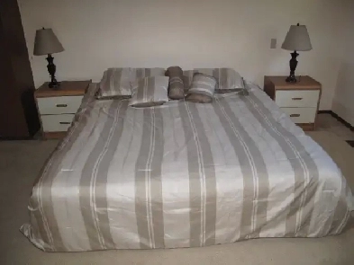 Share Spacious Master Bedroom for a girl 800/mo., Avail Oct. 1st