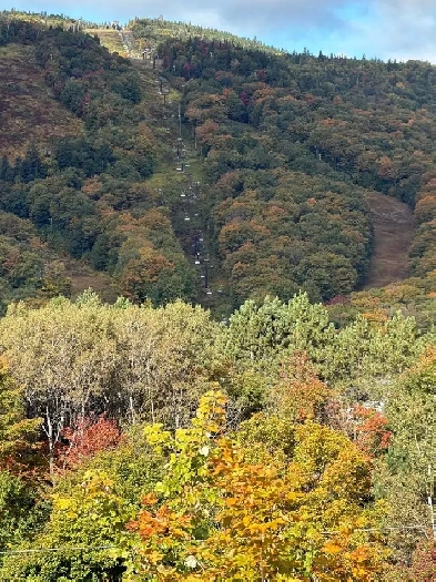 MAISON EN RANGÉE MEUBLÉE À LOUER À STONEHAM –