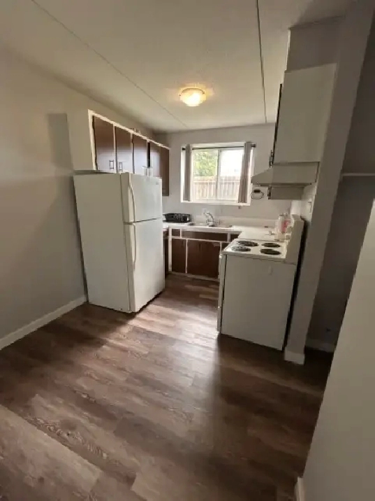 Clean, Quiet 1-Bedroom Apartment