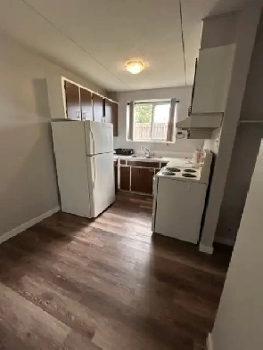 Clean, Quiet 1-Bedroom Apartment