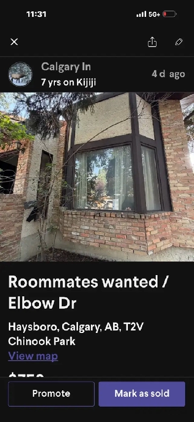 large room rental / elbow dr