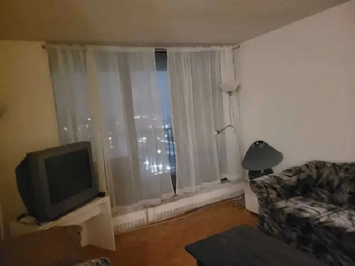 Roommate needed Full-Time for furnshed room
