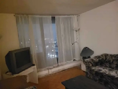Roommate needed Full-Time for furnshed room
