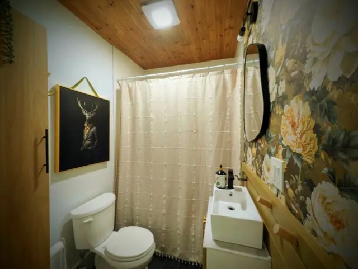 1-Bedroom Furnished Apartment – All Included