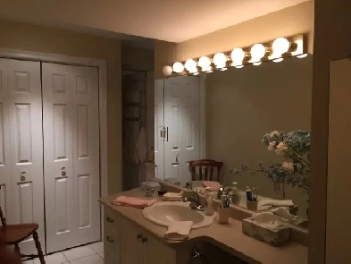 Spacious 2BR Walkout Basement Apartment Prime Location Newmarket
