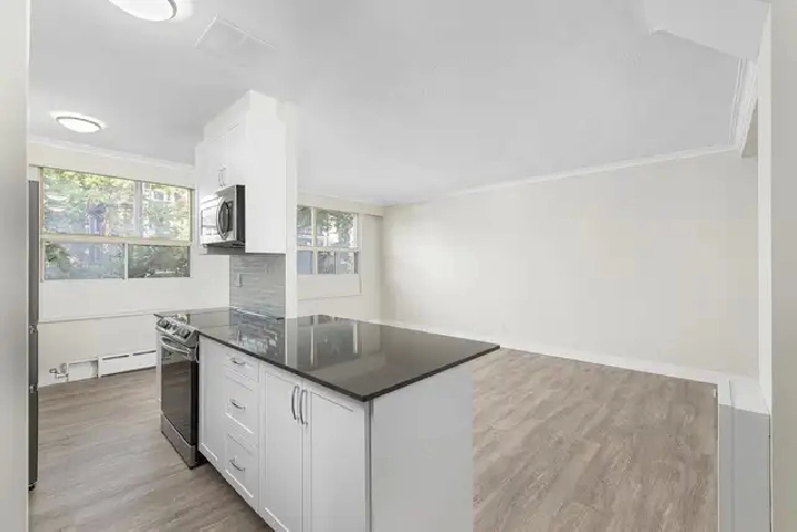 2 Bedroom Apartment for Rent - 115 Dowling Avenue