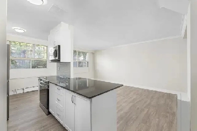 2 Bedroom Apartment for Rent - 115 Dowling Avenue