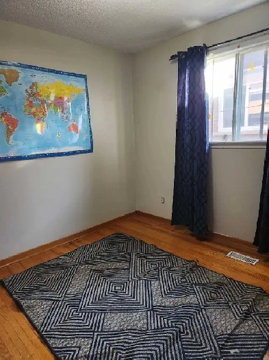Female Roomate