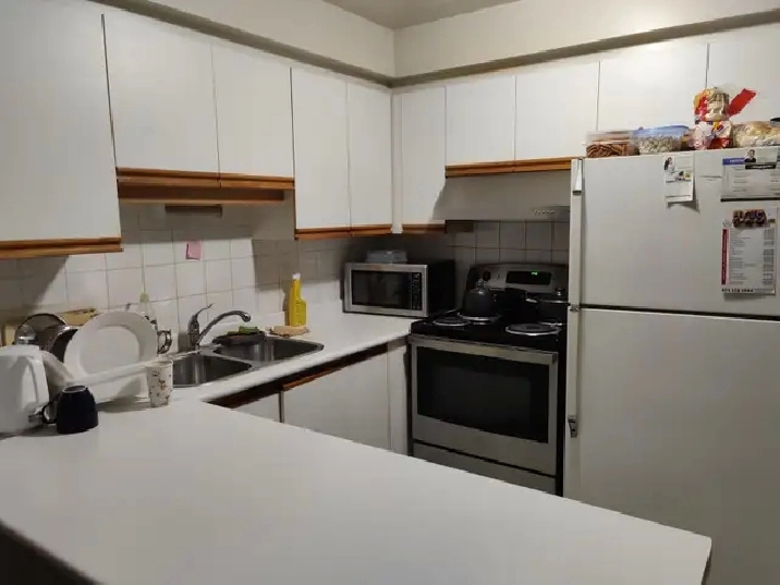 Room for Rent $800
