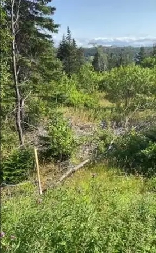 Build Your Dream Home on 1  Acre Lot in Victoria!
