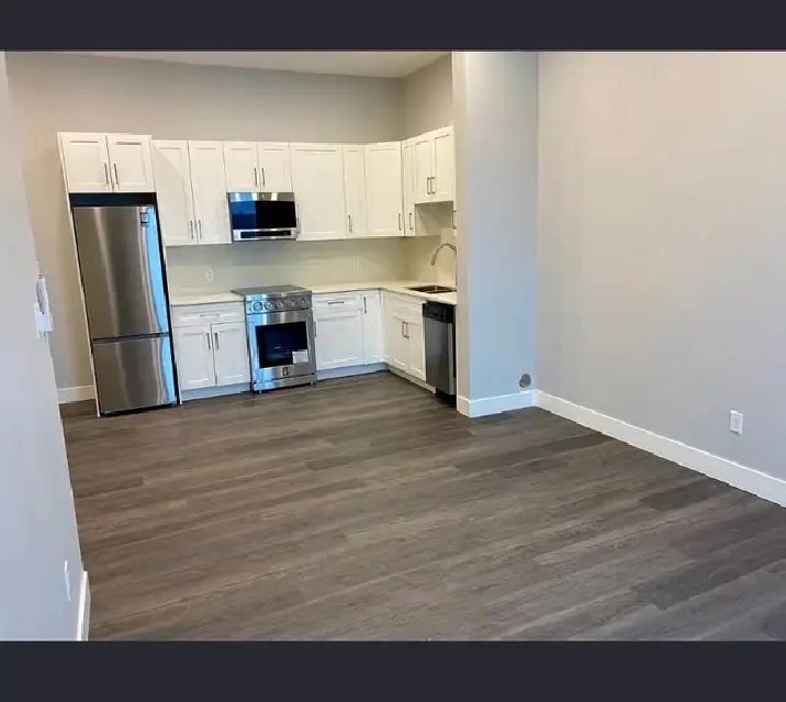 1 bedroom 1 bathroom for rent - st. boniface