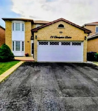 Room for Rent (FEMALE ONLY): Brampton - Hurontario/Ray Lawson