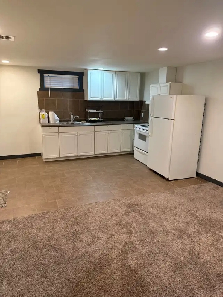 1 bedroom basement suite